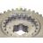 Fogaskerék IV. 07393_Z21_37