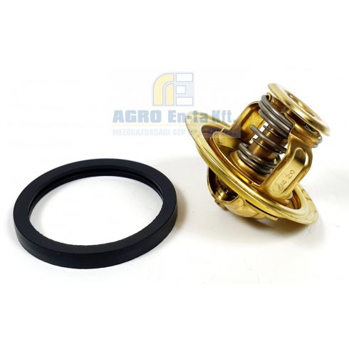 TERMOSZTÁT AGT-850 / CARRARO 4300