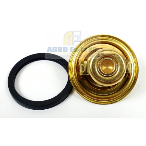 TERMOSZTÁT AGT-850 / CARRARO 4300