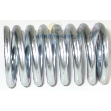 ADAGOLÓ RUGÓ (UTN-5-1111138)