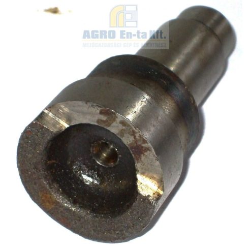 TENGELY (50-1701434)