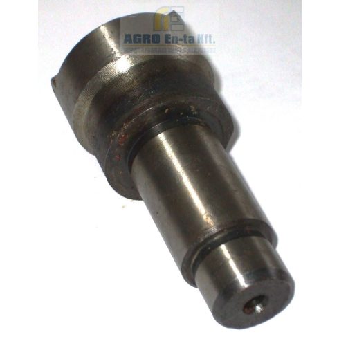 TENGELY (50-1701434)