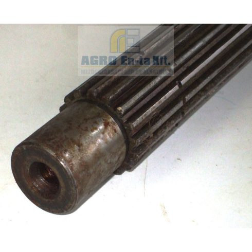 TENGELY (50-1701382)