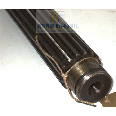 TENGELY (50-1701382)