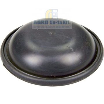 LÉGÜSTMEMBRÁN (95X21) AR.252 annovi Reverberi 800190