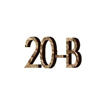20B 1 1/4" (31,75mm)